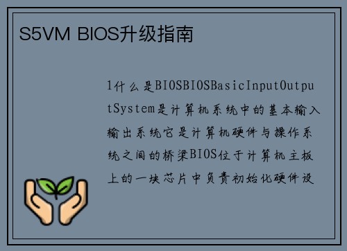 S5VM BIOS升级指南